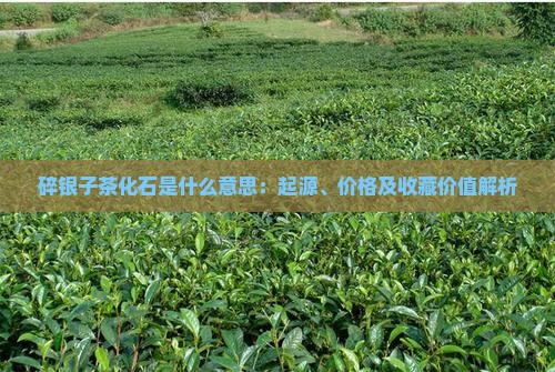 碎银子茶化石是什么意思：起源、价格及收藏价值解析