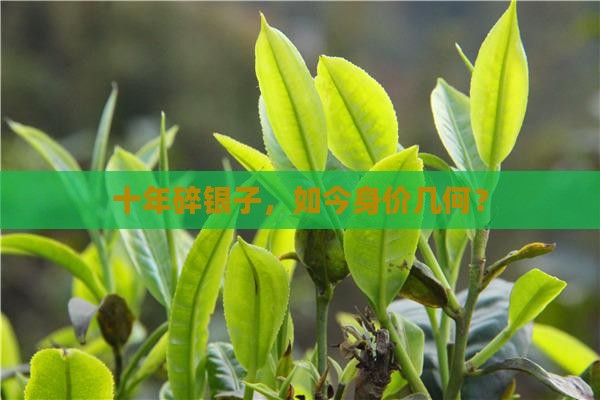 十年碎银子，如今身价几何？