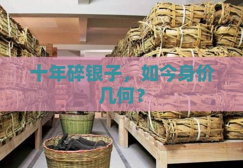 十年碎银子，如今身价几何？