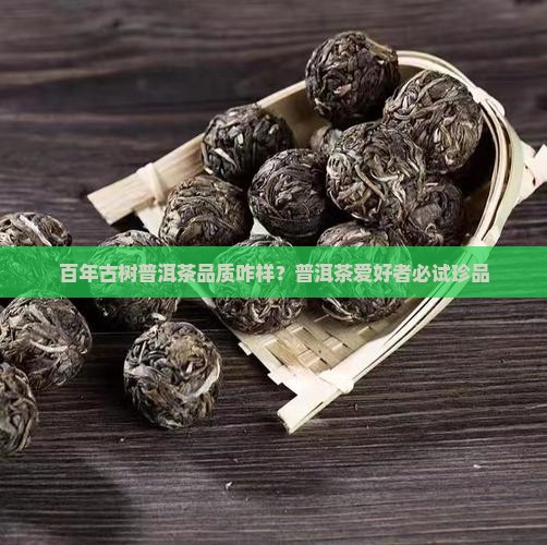 百年古树普洱茶品质咋样？普洱茶爱好者必试珍品