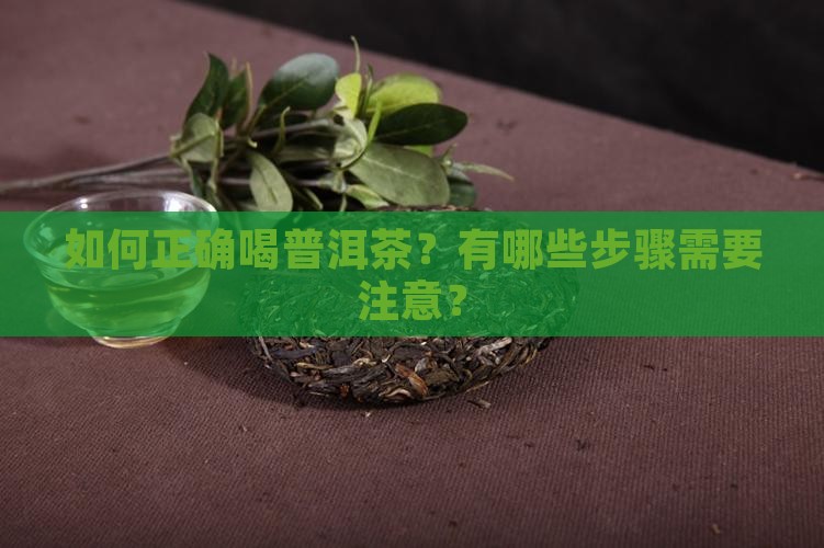 如何正确喝普洱茶？有哪些步骤需要注意？