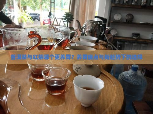 普洱茶与红茶哪个更养胃？养胃痛点与新趋势下的选择