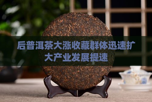 后普洱茶大涨收藏群体迅速扩大产业发展提速