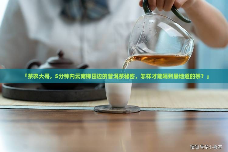「茶农大哥，5分钟内云南梯田边的普洱茶秘密，怎样才能喝到最地道的茶？」