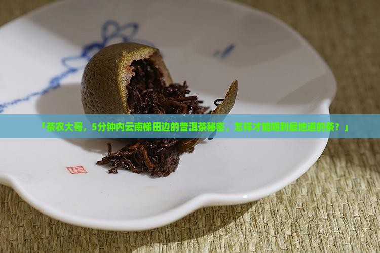 「茶农大哥，5分钟内云南梯田边的普洱茶秘密，怎样才能喝到最地道的茶？」
