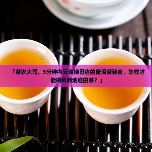 「茶农大哥，5分钟内云南梯田边的普洱茶秘密，怎样才能喝到最地道的茶？」