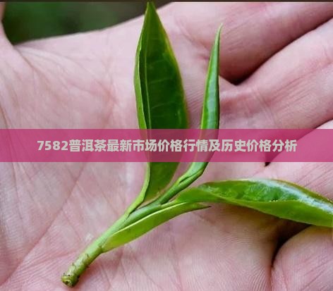 7582普洱茶最新市场价格行情及历史价格分析