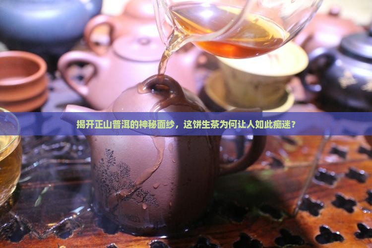 揭开正山普洱的神秘面纱，这饼生茶为何让人如此痴迷？