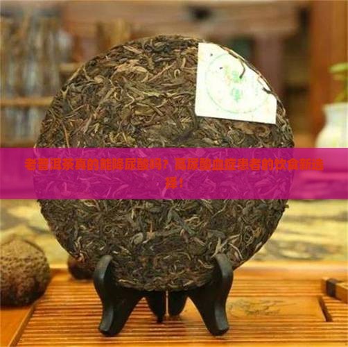 老普洱茶真的能降尿酸吗？高尿酸血症患者的饮食新选择！
