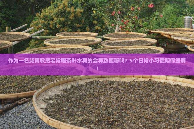 作为一名肠胃敏感宅常喝茶叶水真的会导致便秘吗？5个日常小习惯帮你缓解！