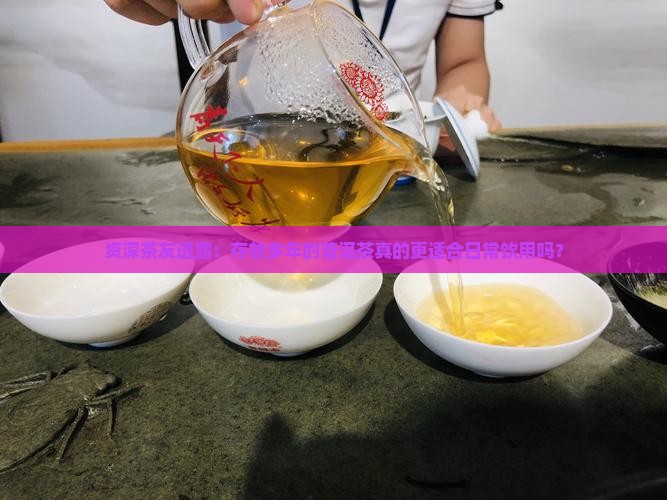 资深茶友透露：存放多年的普洱茶真的更适合日常饮用吗？