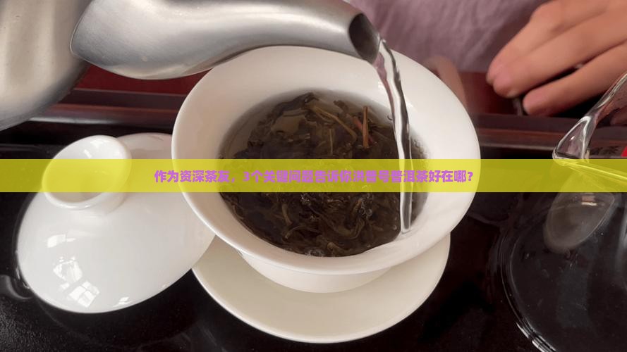 作为资深茶友，3个关键问题告诉你洪普号普洱茶好在哪？