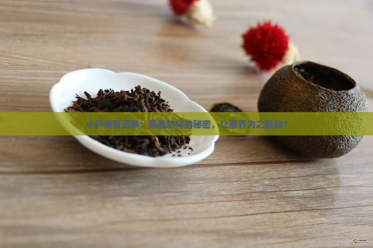 小户赛普洱茶：藏着怎样的秘密，让茶界为之轰动？