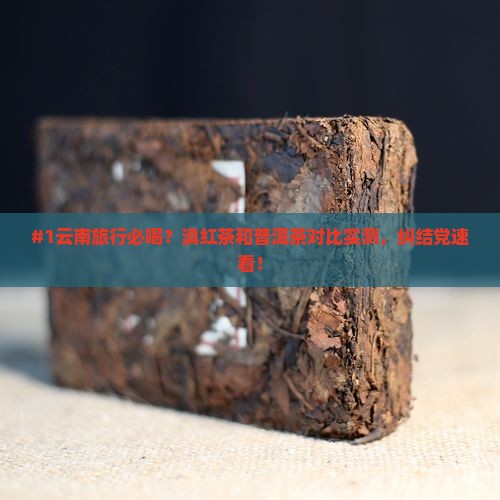 #1云南旅行必喝？滇红茶和普洱茶对比实测，纠结党速看！