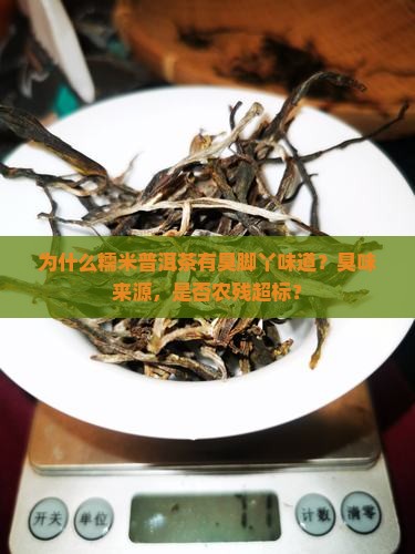 为什么糯米普洱茶有臭脚丫味道？臭味来源，是否农残超标？