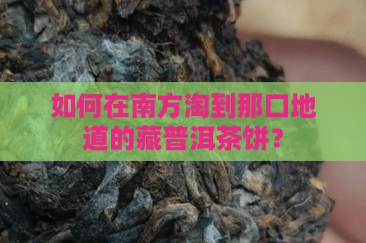 如何在南方淘到那口地道的藏普洱茶饼？