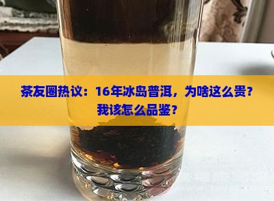 茶友圈热议：16年冰岛普洱，为啥这么贵？我该怎么品鉴？