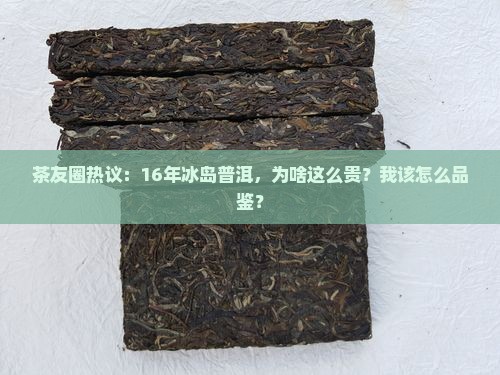 茶友圈热议：16年冰岛普洱，为啥这么贵？我该怎么品鉴？