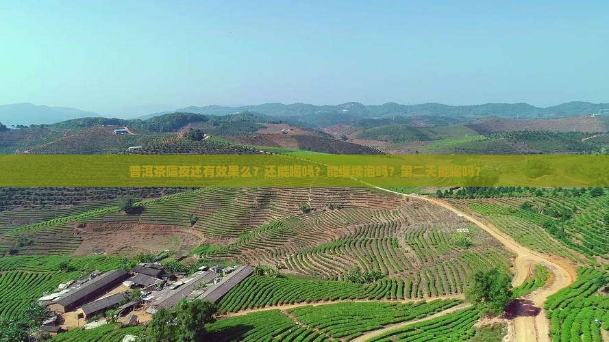 普洱茶隔夜还有效果么？还能喝吗？能继续泡吗？第二天能喝吗？