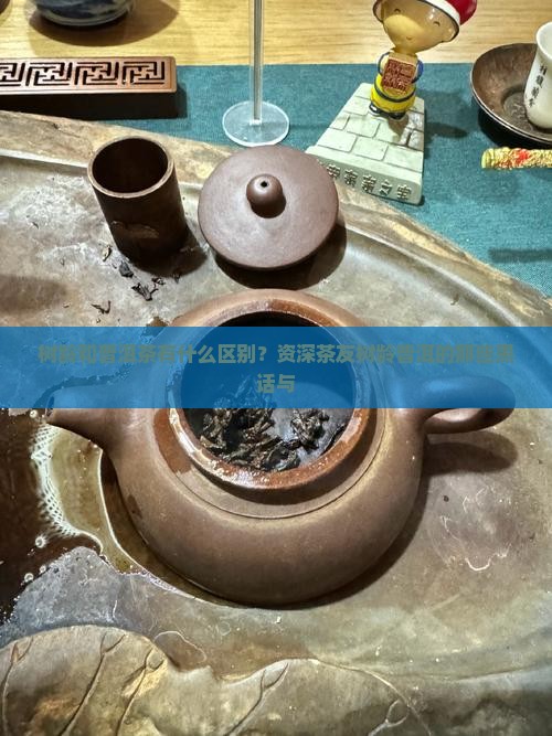 树龄和普洱茶有什么区别？资深茶友树龄普洱的那些黑话与