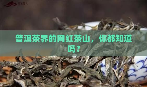 普洱茶界的网红茶山，你都知道吗？