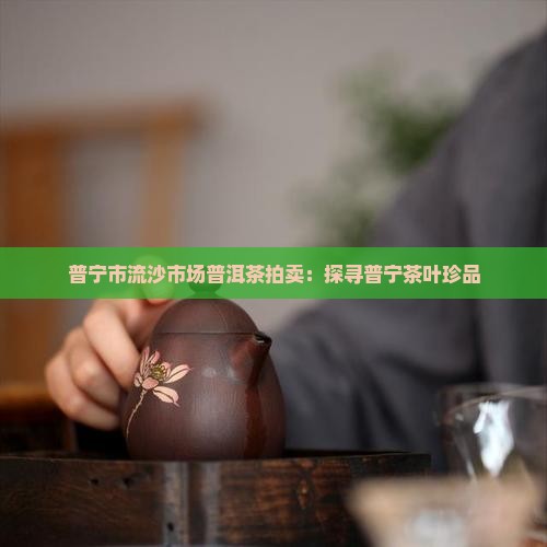 普宁市流沙市场普洱茶拍卖：探寻普宁茶叶珍品
