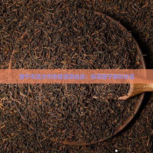 普宁市流沙市场普洱茶拍卖：探寻普宁茶叶珍品