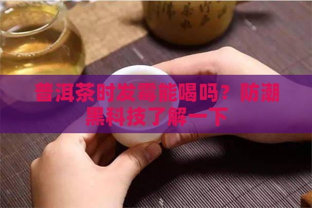普洱茶时发霉能喝吗？防潮黑科技了解一下