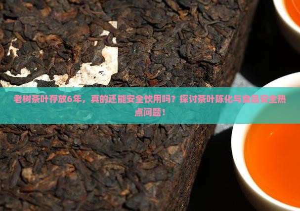 老树茶叶存放6年，真的还能安全饮用吗？探讨茶叶陈化与食品安全热点问题！