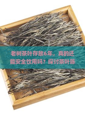 老树茶叶存放6年，真的还能安全饮用吗？探讨茶叶陈化与食品安全热点问题！