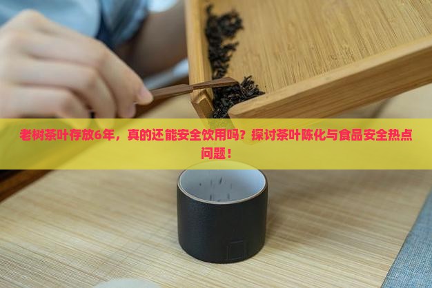 老树茶叶存放6年，真的还能安全饮用吗？探讨茶叶陈化与食品安全热点问题！