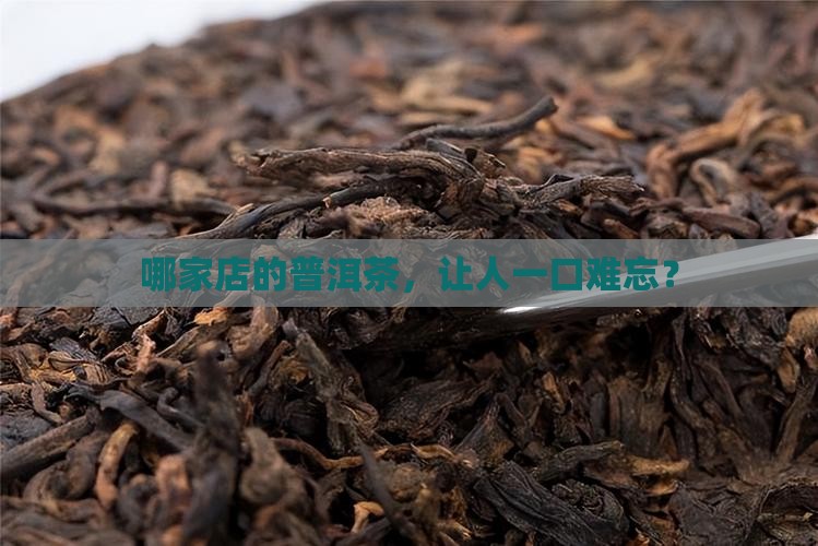 哪家店的普洱茶，让人一口难忘？