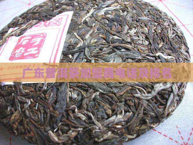 广东普洱茶加盟商电话及排名