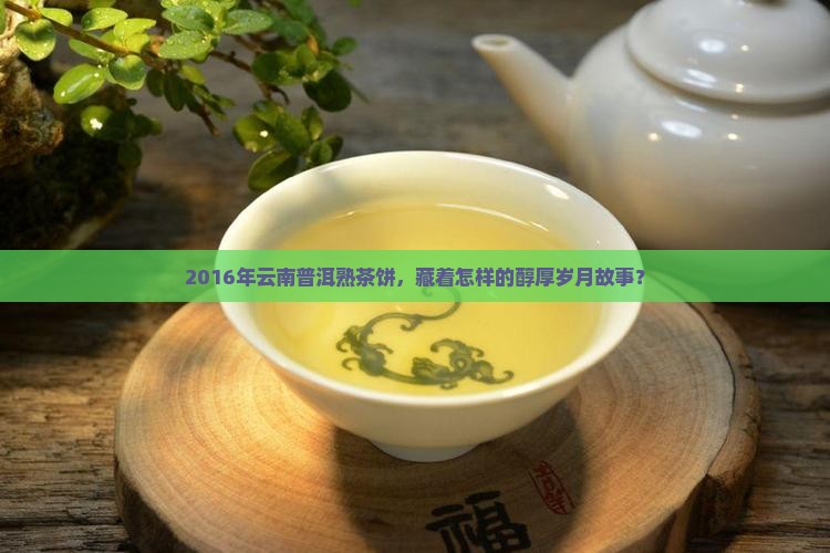 2016年云南普洱熟茶饼，藏着怎样的醇厚岁月故事？