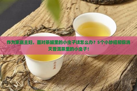 作为家庭主妇，面对茶罐里的小虫子该怎么办？5个小妙招帮你消灭普洱茶里的小虫子！