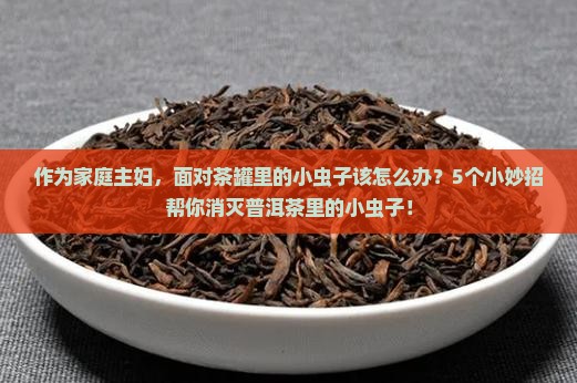 作为家庭主妇，面对茶罐里的小虫子该怎么办？5个小妙招帮你消灭普洱茶里的小虫子！