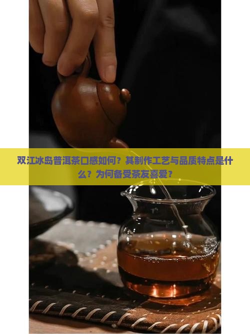 双江冰岛普洱茶口感如何？其制作工艺与品质特点是什么？为何备受茶友喜爱？