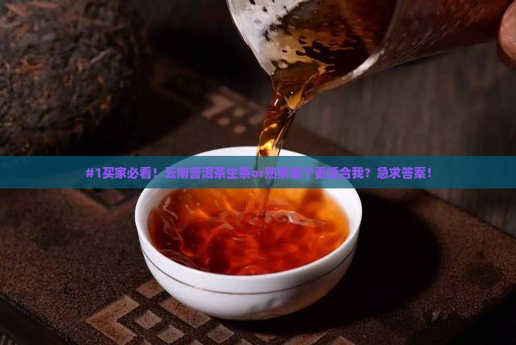 #1买家必看！云南普洱茶生茶or熟茶哪个更适合我？急求答案！