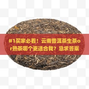 #1买家必看！云南普洱茶生茶or熟茶哪个更适合我？急求答案！