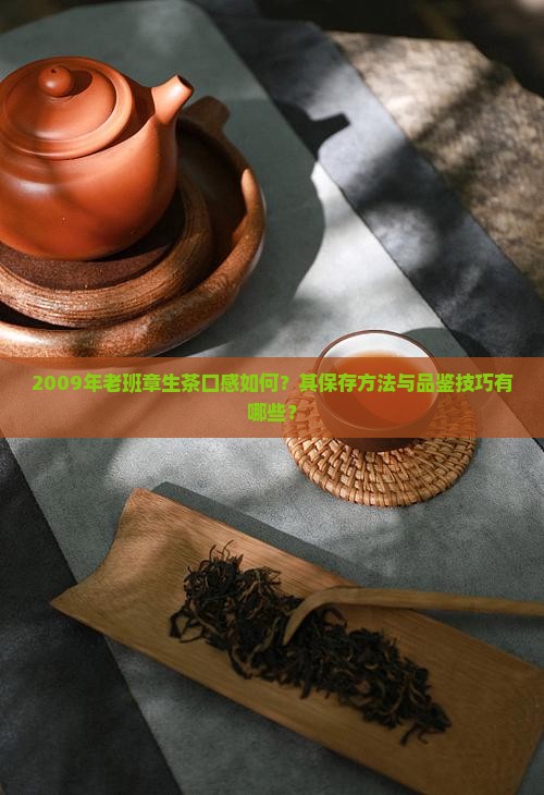 2009年老班章生茶口感如何？其保存方法与品鉴技巧有哪些？