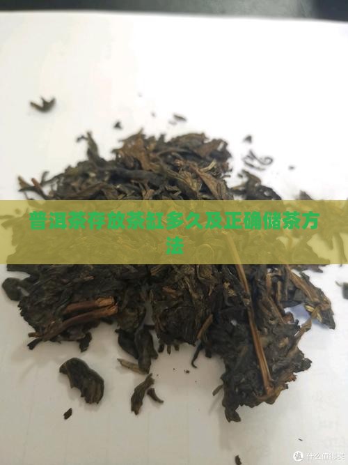 普洱茶存放茶缸多久及正确储茶方法