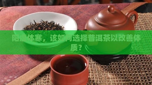 阳虚体寒，该如何选择普洱茶以改善体质？