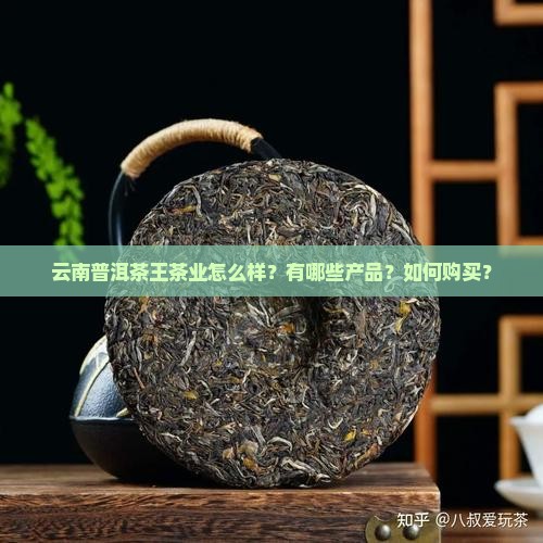 云南普洱茶王茶业怎么样？有哪些产品？如何购买？