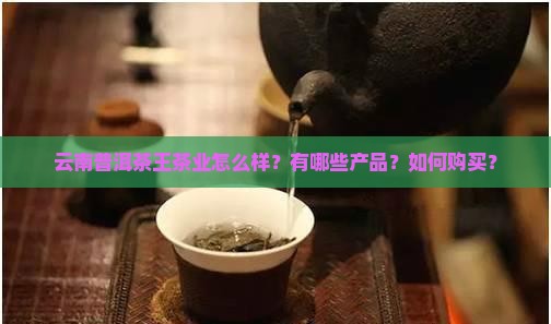 云南普洱茶王茶业怎么样？有哪些产品？如何购买？