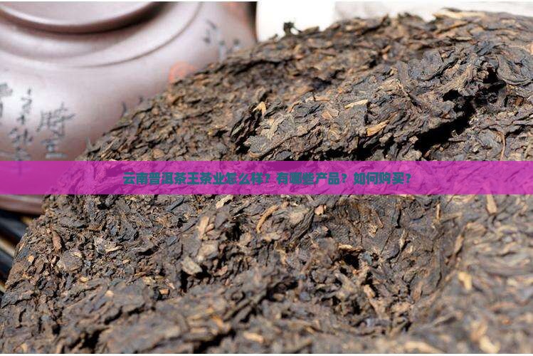 云南普洱茶王茶业怎么样？有哪些产品？如何购买？