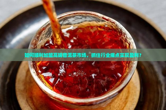 如何顺利加盟高端普洱茶市场，抓住行业痛点实现盈利？