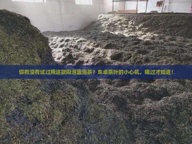 你有没有试过用这款闷泡壶泡茶？东卓茶叶的小心机，喝过才知道！