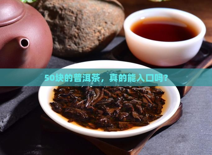 50块的普洱茶，真的能入口吗？