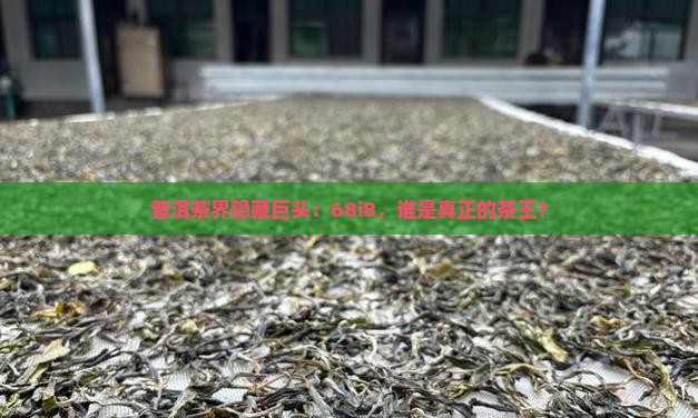 普洱茶界隐藏巨头：68i8，谁是真正的茶王？