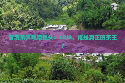普洱茶界隐藏巨头：68i8，谁是真正的茶王？